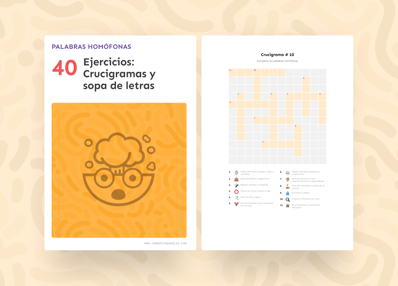 Palabras Homófonas: 40 Ejercicios crucigramas y sopa de letras
